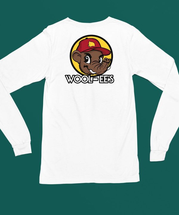 Wooli Wool Ees Shirt4