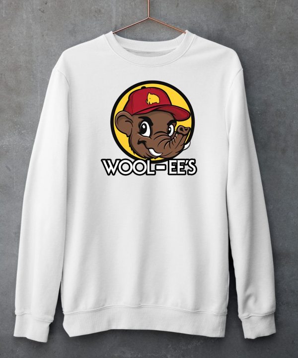 Wooli Wool Ees Shirt6