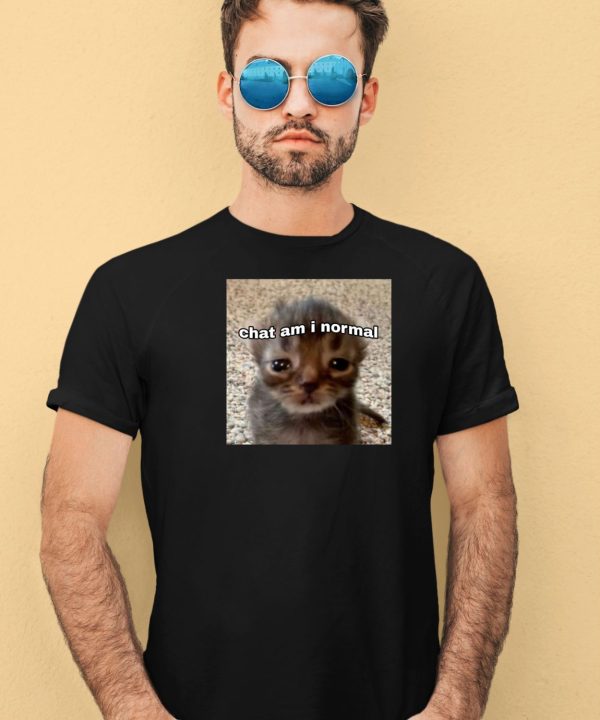 Chat Am I Normal Shirt4