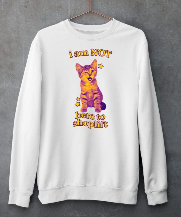 Gotfunny I Am Not Here To Shoplift Shirt6