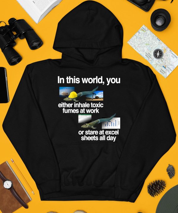 In This World You Either Inhale Toxic Fumes At Work Or Stare At Excel Sheets All Day Shirt10