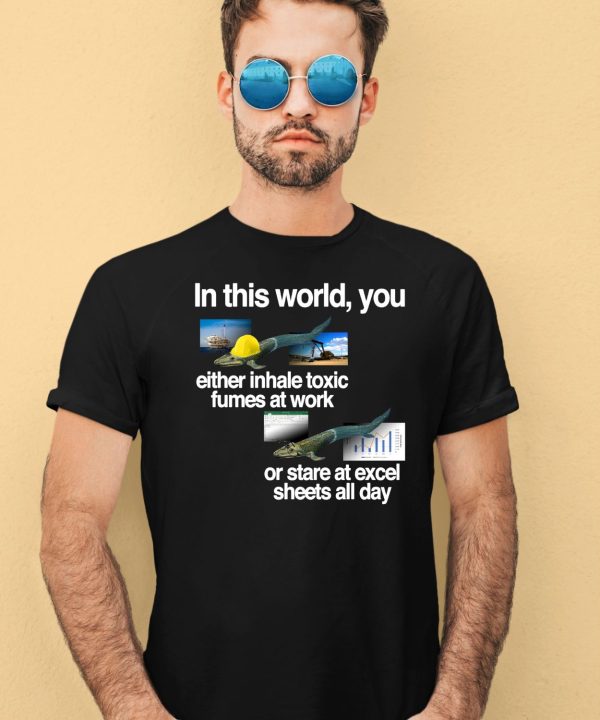 In This World You Either Inhale Toxic Fumes At Work Or Stare At Excel Sheets All Day Shirt11