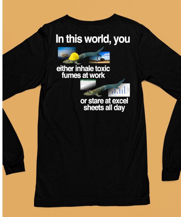 In This World You Either Inhale Toxic Fumes At Work Or Stare At Excel Sheets All Day Shirt13