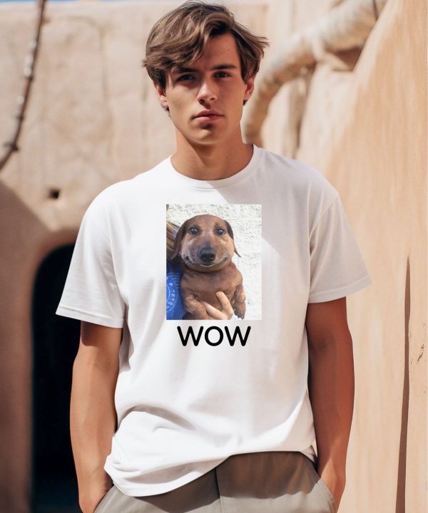 Fallenchungus Pet Dog Wow Shirt